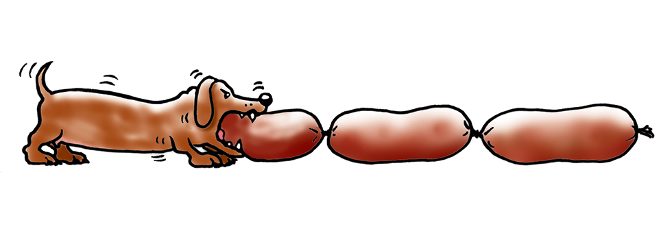 sausage-dog-newspaper-illustration